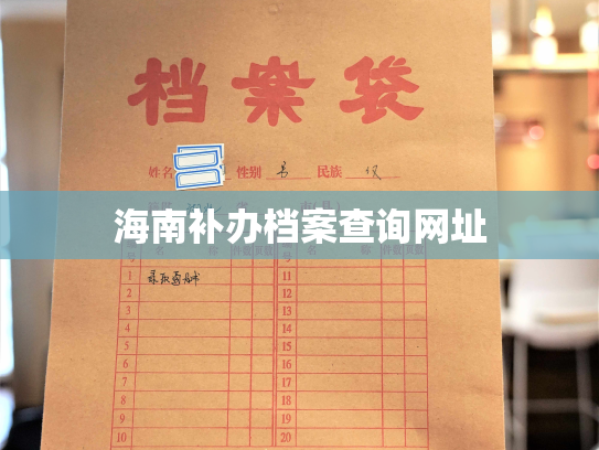 海南补办档案查询网址