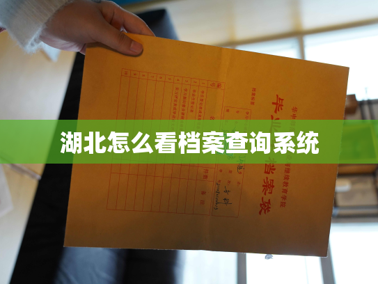 湖北怎么看档案查询系统