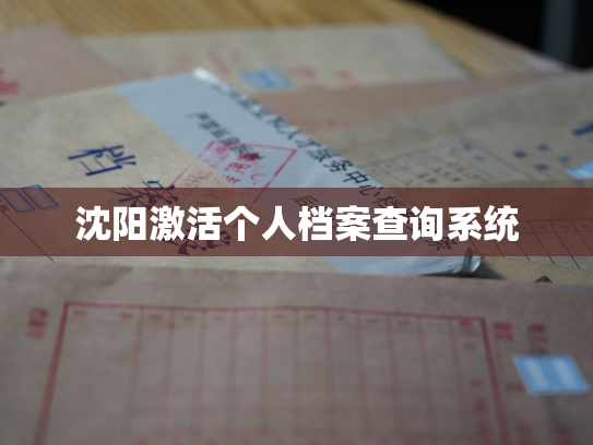 沈阳激活个人档案查询系统