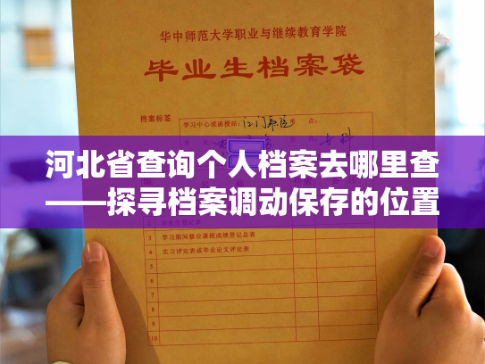 河北省查询个人档案去哪里查——探寻档案调动保存的位置