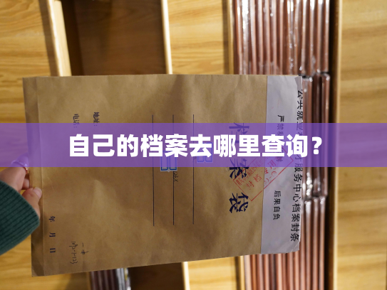 自己的档案去哪里查询？