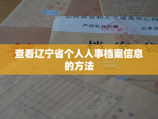 查看辽宁省个人人事档案信息的方法