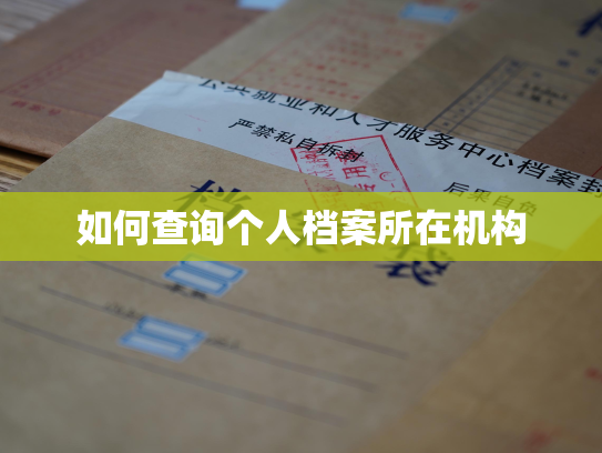 如何查询个人档案所在机构