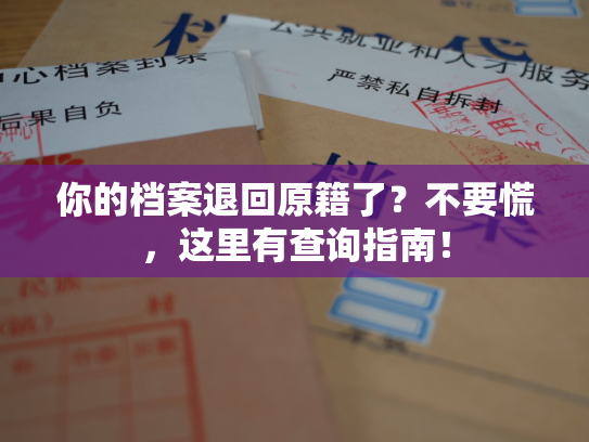 你的档案退回原籍了？不要慌，这里有查询指南！