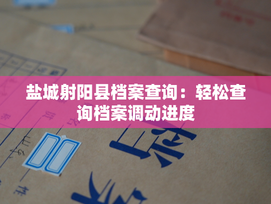 盐城射阳县档案查询：轻松查询档案调动进度