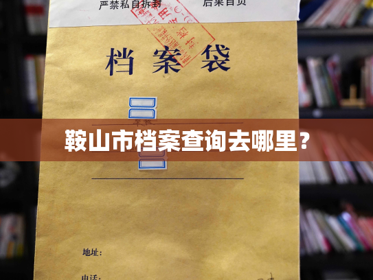 鞍山市档案查询去哪里？
