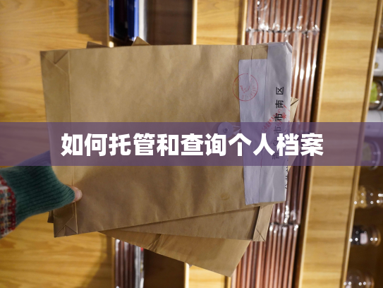 如何托管和查询个人档案