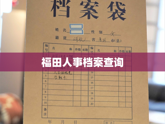 福田人事档案查询