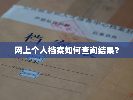 网上个人档案如何查询结果？