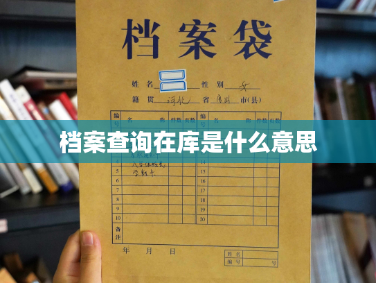 档案查询在库是什么意思