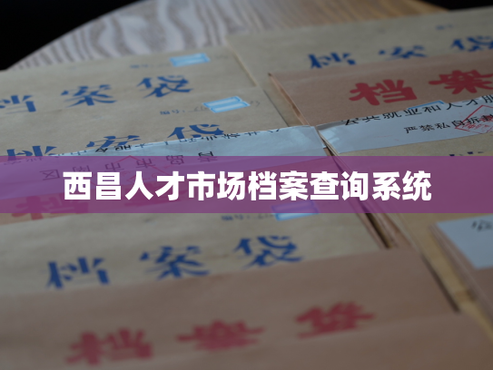 西昌人才市场档案查询系统