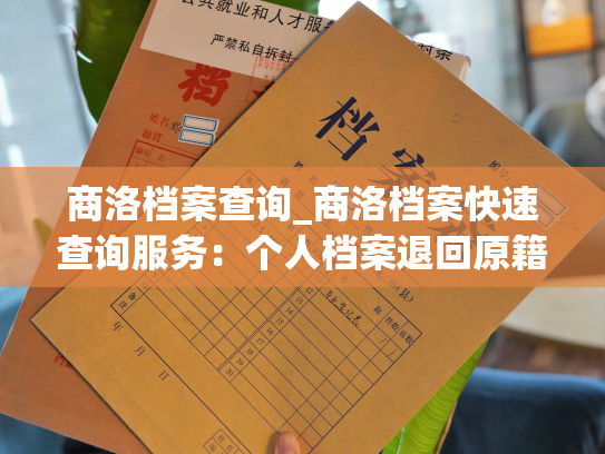 商洛档案查询_商洛档案快速查询服务：个人档案退回原籍后如何查询的指南