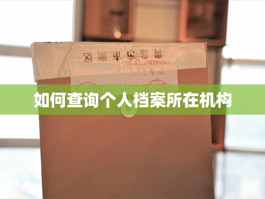 如何查询个人档案所在机构
