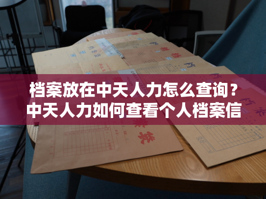 档案放在中天人力怎么查询？中天人力如何查看个人档案信息？