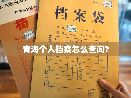 青海个人档案怎么查询？