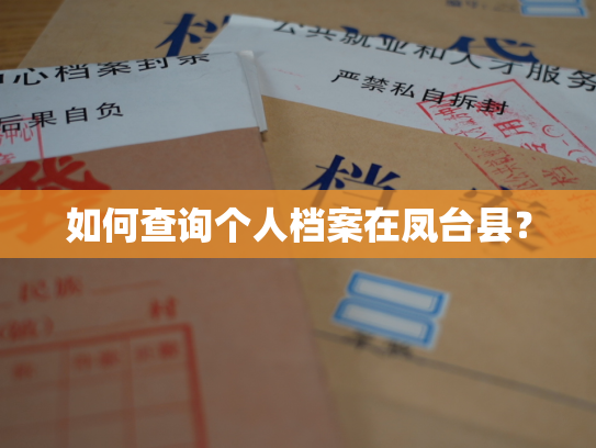 如何查询个人档案在凤台县？