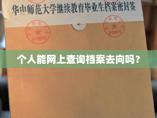 个人能网上查询档案去向吗？