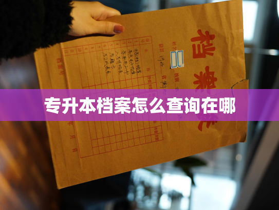 专升本档案怎么查询在哪