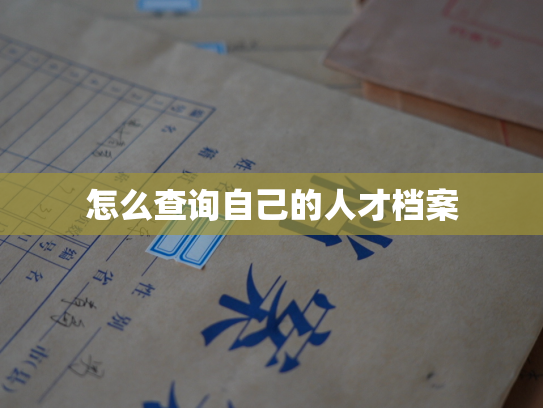 怎么查询自己的人才档案