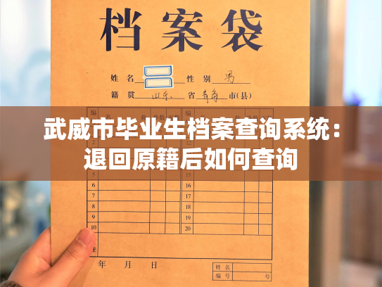 武威市毕业生档案查询系统：退回原籍后如何查询
