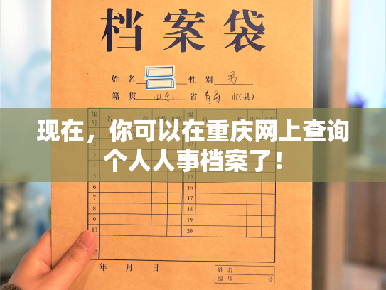 现在，你可以在重庆网上查询个人人事档案了！