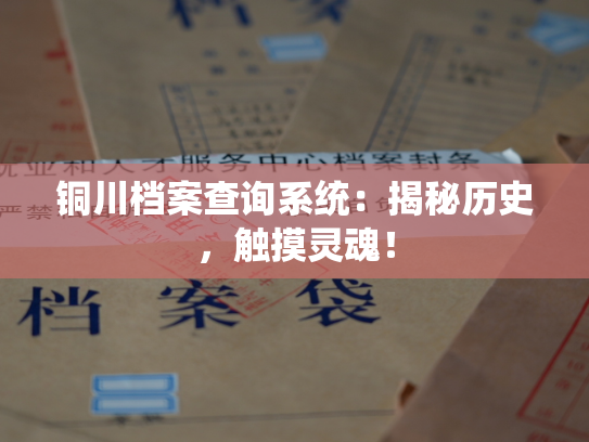 铜川档案查询系统：揭秘历史，触摸灵魂！