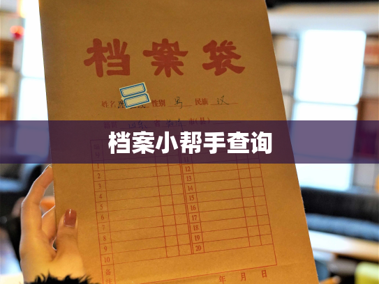 档案小帮手查询