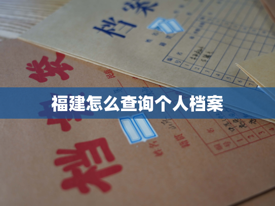 福建怎么查询个人档案