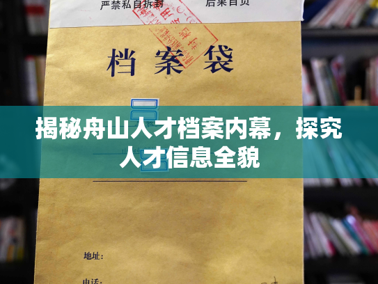 揭秘舟山人才档案内幕，探究人才信息全貌
