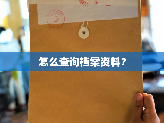 怎么查询档案资料？