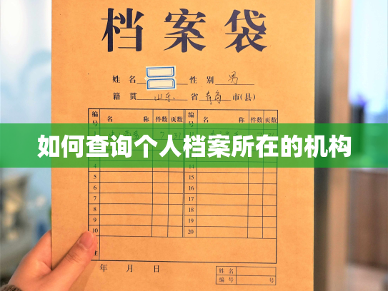 如何查询个人档案所在的机构