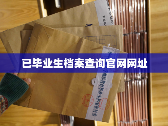 已毕业生档案查询官网网址