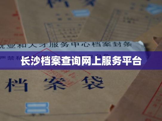 长沙档案查询网上服务平台