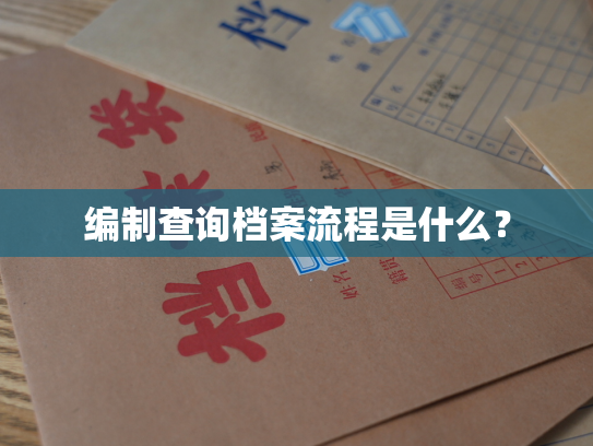 编制查询档案流程是什么？