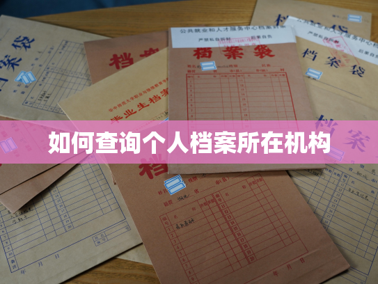 如何查询个人档案所在机构