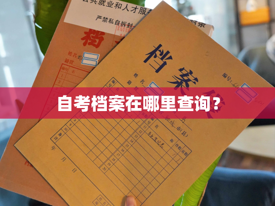 自考档案在哪里查询？