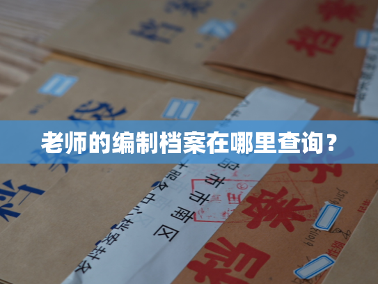老师的编制档案在哪里查询？