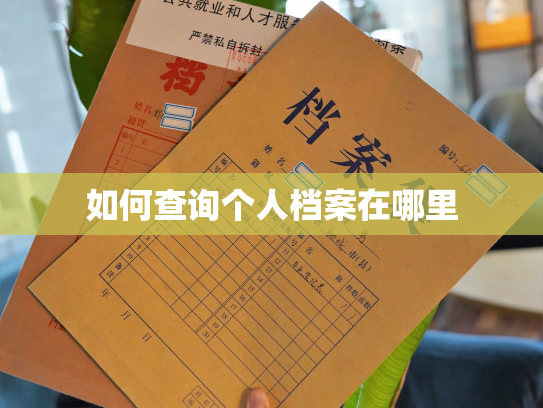 如何查询个人档案在哪里