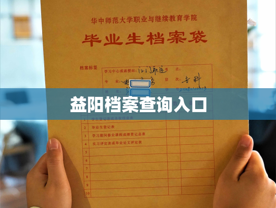 益阳档案查询入口