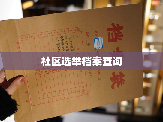 社区选举档案查询