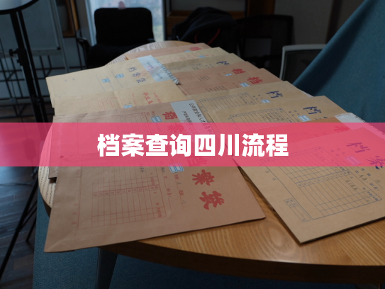 档案查询四川流程