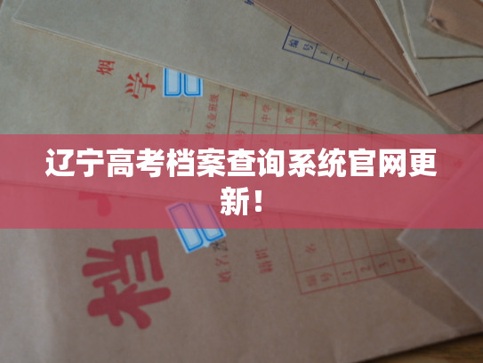 辽宁高考档案查询系统官网更新！