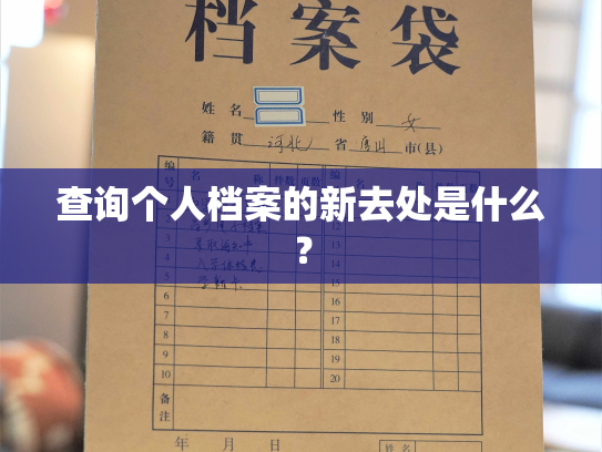 查询个人档案的新去处是什么？