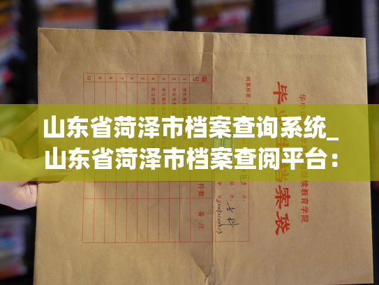 山东省菏泽市档案查询系统_山东省菏泽市档案查阅平台：畅享查档便利