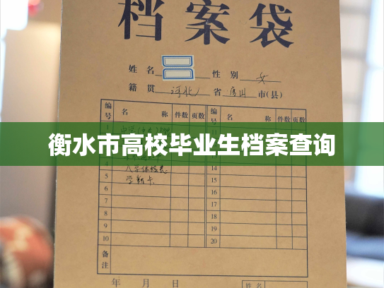 衡水市高校毕业生档案查询