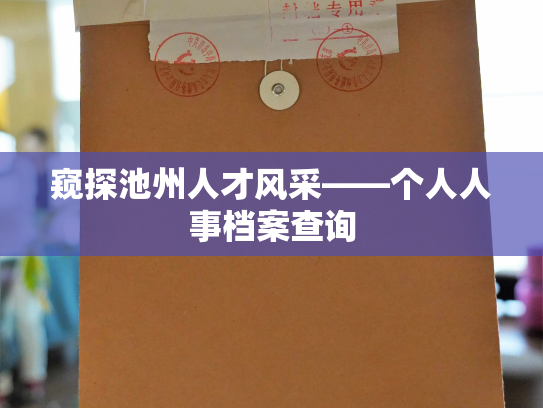 窥探池州人才风采——个人人事档案查询