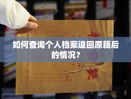 如何查询个人档案退回原籍后的情况？