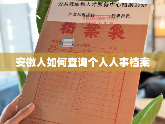 安徽人如何查询个人人事档案