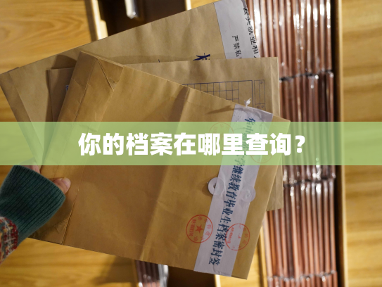 你的档案在哪里查询？
