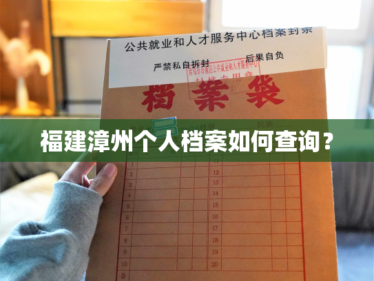 福建漳州个人档案如何查询？